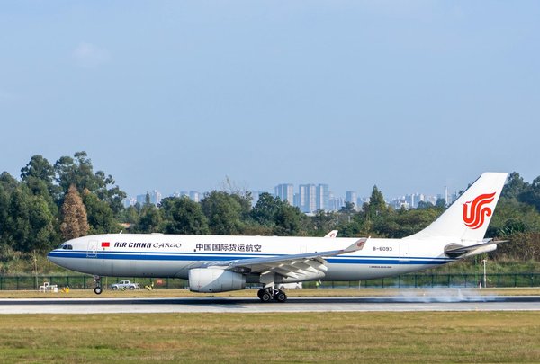 Quelles sont les meilleures pratiques pour construire des abris temporaires en camping de survie ?