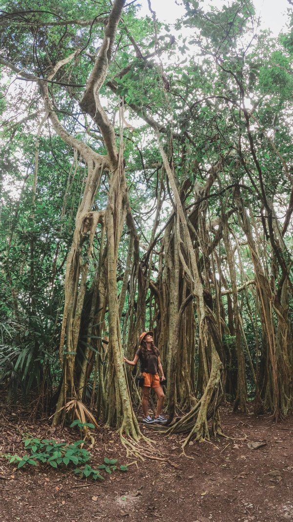 Quels sont les critères pour choisir une ferme biologique en Argentine pour un séjour rural ?