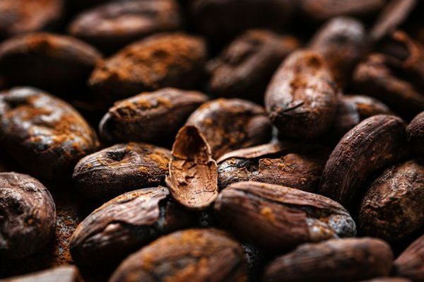 Comment participer à une cérémonie du cacao avec des chamanes en Équateur ?