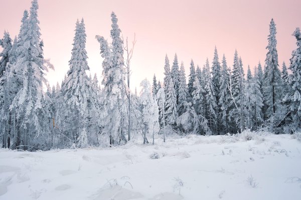 les actualités des stations de ski et des domaines skiables